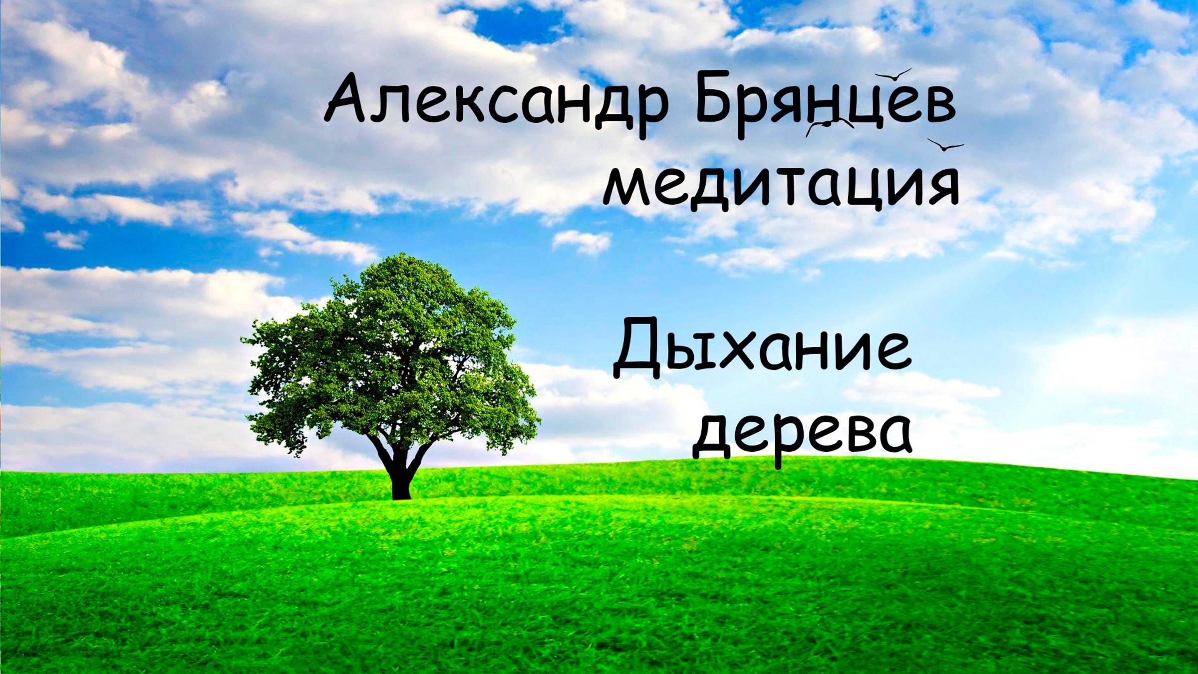 Медитация Дыхание дерева