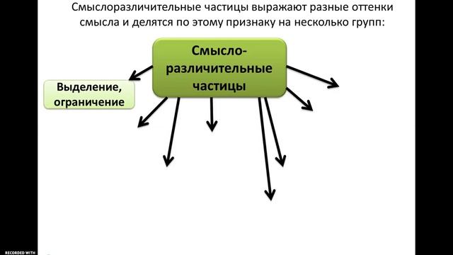 Смыслоразличительные частицы