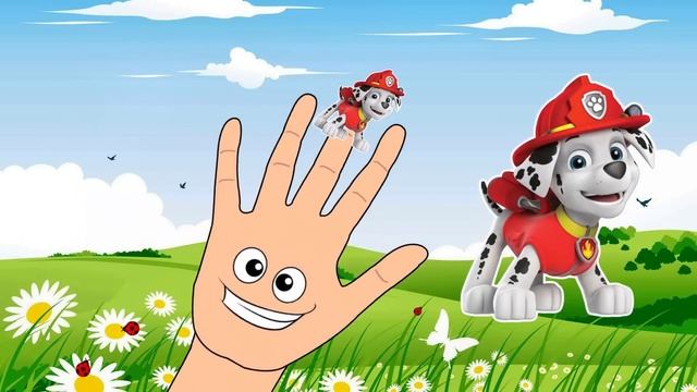 Песенка про пальчики ЩЕНЯЧИЙ ПАТРУЛЬ на русском! смотреть онлайн