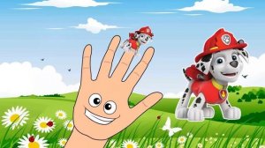 Песенка про пальчики ЩЕНЯЧИЙ ПАТРУЛЬ на русском!