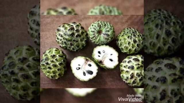 Яз кирәк җаннарга смотреть онлайн