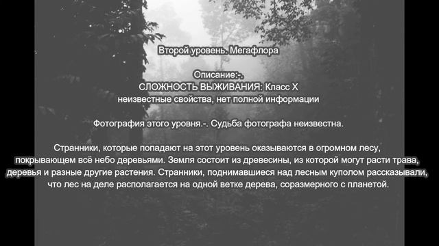 Краткое описание трёх загадочных уровней backrooms №1 смотреть онлайн