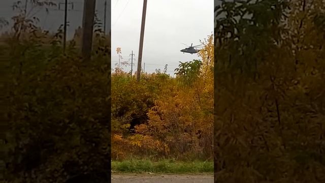 Над карповским полем Раменский район Просто надоели эти вертолеты Прям над головой смотреть онлайн