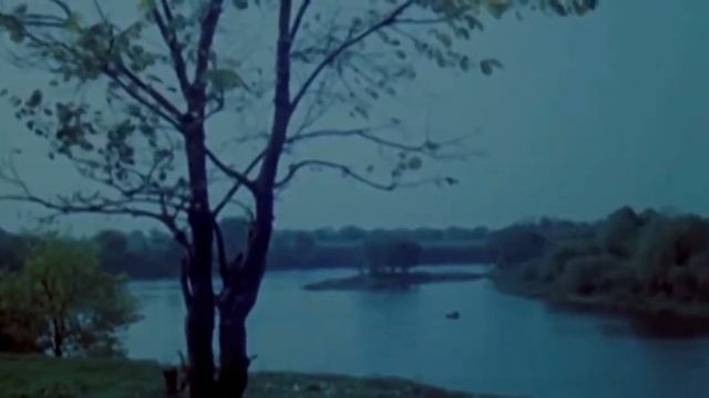 Константин Паустовский.  Наедине с осенью. (1984)