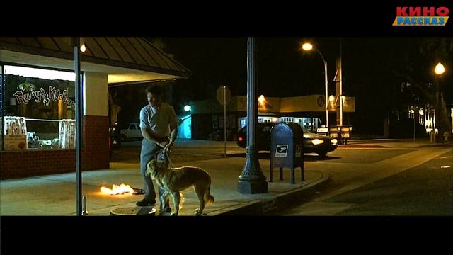 Пока девушка занимается СИКСОМ с парнем, он умирает как и все, потому что время проклято смотреть онлайн