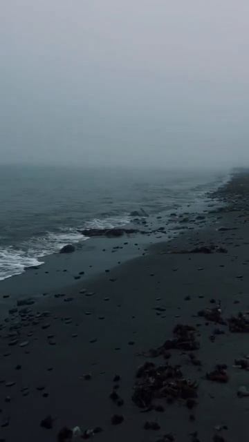 26 августа 2024 г. смотреть онлайн