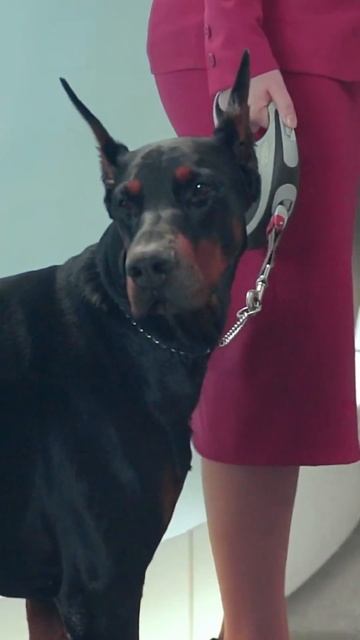 Зачем Tele2 вводит комиссию за пополнение счёта? #shorts смотреть онлайн