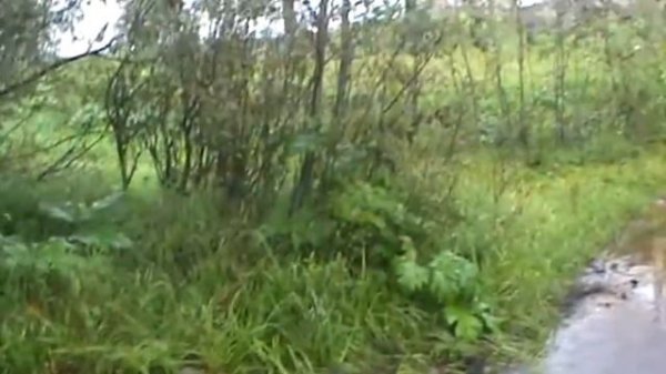 Вызов Бена Утопленника днем.2 Часть