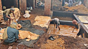 НЕВЕРОЯТНЫЙ процесс! Изготовление кожи из замши буйвола