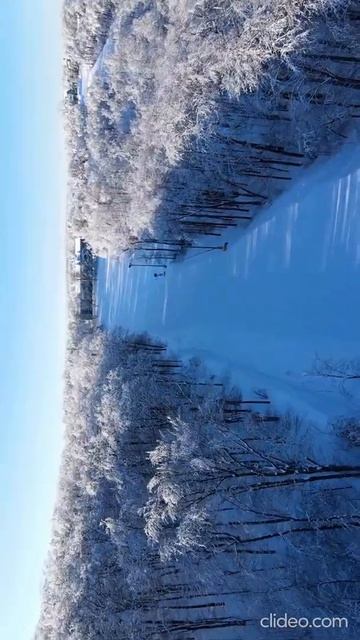 Relaxing | Snow | Trees Covered with Snow | Fall Asleep & Stay Sleeping with White Noise | Sea | смотреть онлайн
