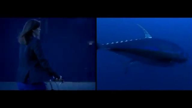 Мир в котором мы живем. The world is where we live смотреть онлайн