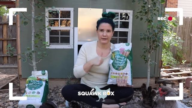 Chicken Feed Facts | What You Need to Know смотреть онлайн