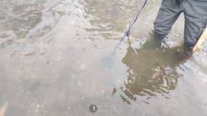 Пляжный поиск с Minelab Manticore и Minelab Equinox 900