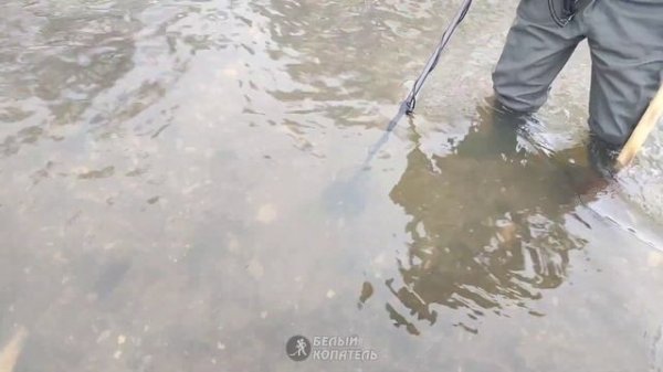 Пляжный поиск с Minelab Manticore и Minelab Equinox 900