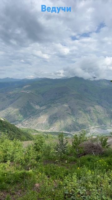 Алихан Амхадов #гитара #музыка #guitar #music #кавер #cover #live #guitarcover #топ смотреть онлайн