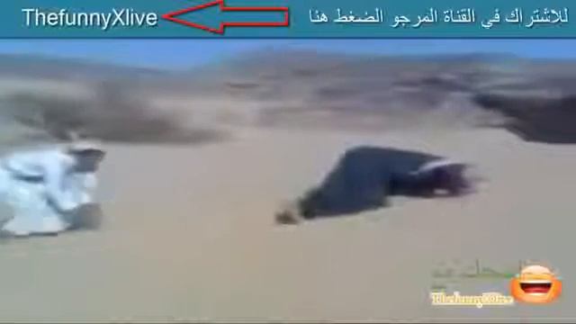 арабский прикол2013 смотреть онлайн