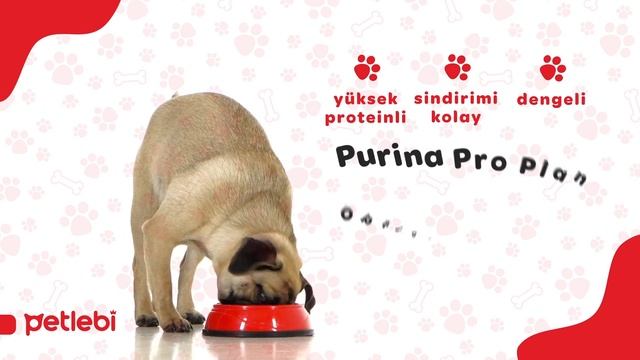 Pro Plan Tahılsız Köpek Mamalarında 1 Alana 1 BEDAVA! смотреть онлайн