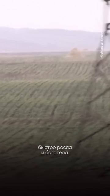 Банда подмяла под себя весь район #криминал #россия #трукрайм #shorts смотреть онлайн