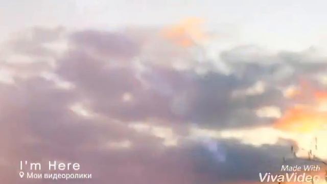 Природа во дворе 😀