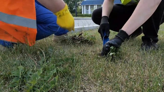 Соликамскбумпром профориентация школьников 2023 смотреть онлайн