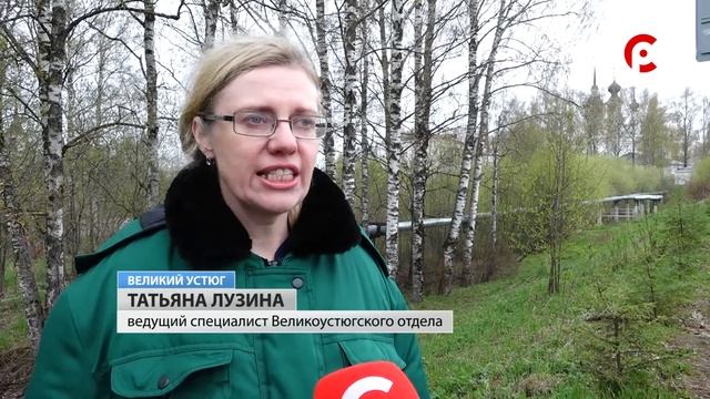Елочки для устюжан смотреть онлайн