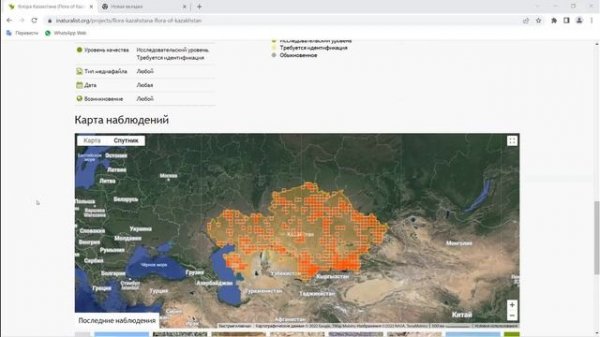 Казахстан на iNaturalist. Владимир Эпиктетов