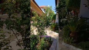 Отель MG Club Akman beach Кемер. Дорога от номера по территории до пляжа. #Турция #кемер#анталия