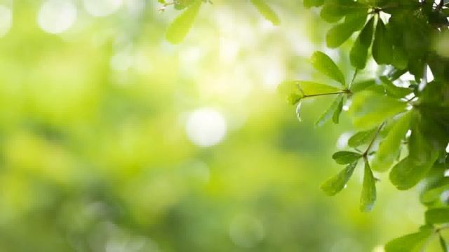 Mix di 1 ora Bella musica rilassante per la meditazione antistress con il suono degli uccelli nella смотреть онлайн