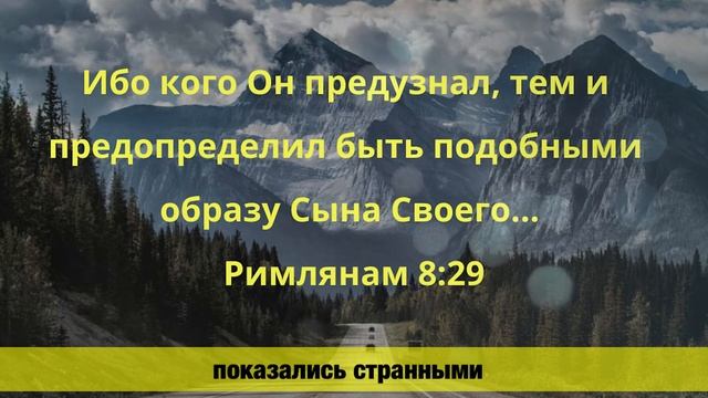 Hristoza benzeyeräk | Gagauz ekmää |017| Хлеб гагауза смотреть онлайн