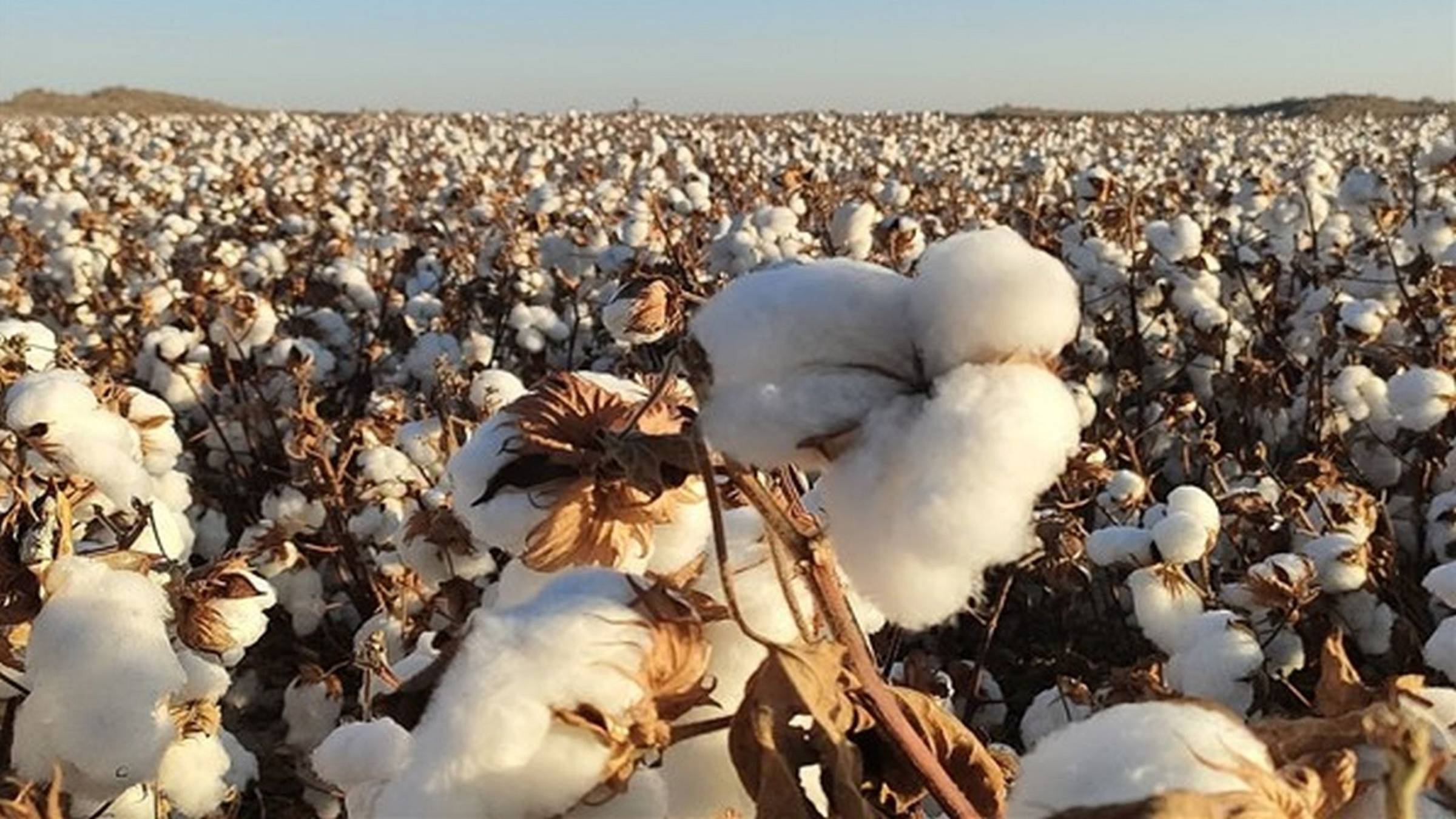 Узбекистан. Экзотика Востока.