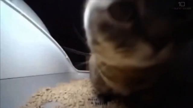 ПроРОК Санбой - chipi chipi chapa chapa dubi dubi daba daba ( Ai Cover ) смотреть онлайн