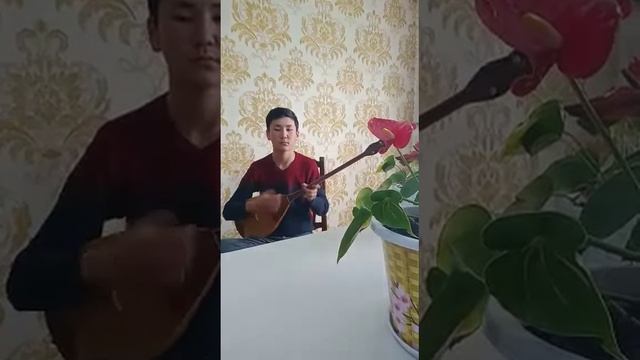 Жамбыл облысы, Тұрар Рысқұлов ауданы, Мұқан Төлебаев атындағы балалар музыка мектебі смотреть онлайн