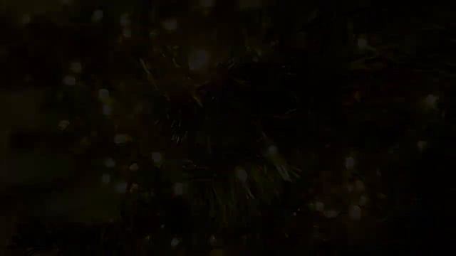 DC LD120 GL E смотреть онлайн