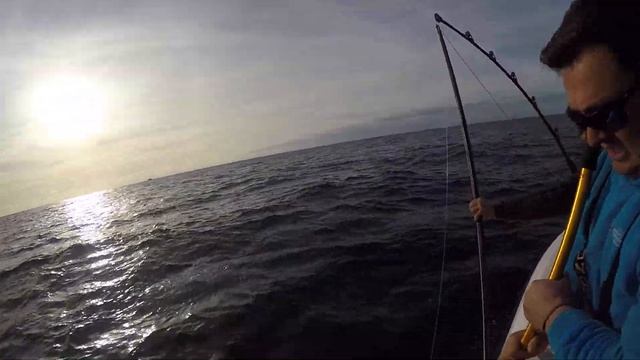 Bluefin on the Merry Marlin смотреть онлайн