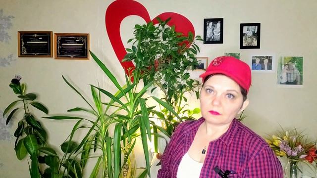 Что век грядущий нам готовит? Эра Водолея. Прогноз на ближайшие события. Плутон в водолее смотреть онлайн