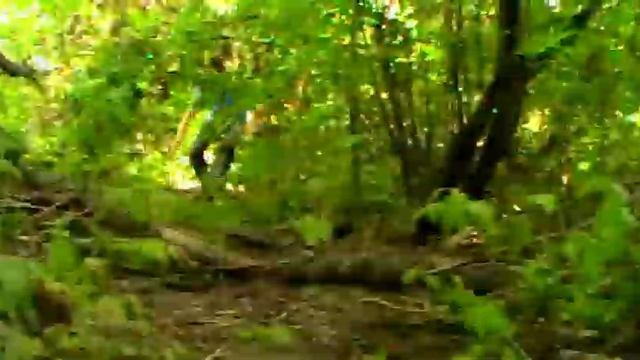 Summer Memories смотреть онлайн