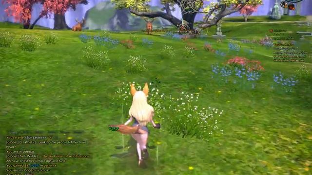 tera online начало путешествий смотреть онлайн