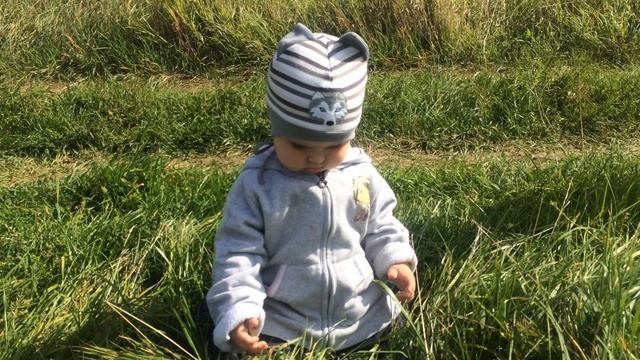 витязь на распутье смотреть онлайн