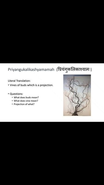 Graph in Sanskrit Intellect formula Pt1 смотреть онлайн