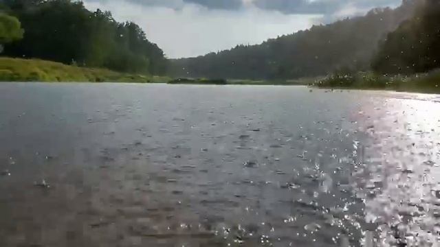 Насладитесь безупречностью живой природы смотреть онлайн