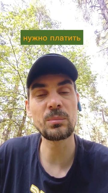 Может ли быть бесплатное обучение? #учеба #обучение #курсы #тренинги смотреть онлайн