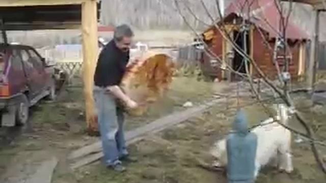 Игра на бубне смотреть онлайн