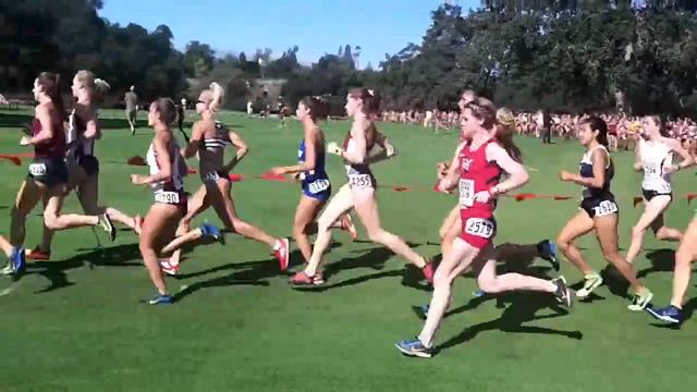 2014 Stanford Invitational смотреть онлайн