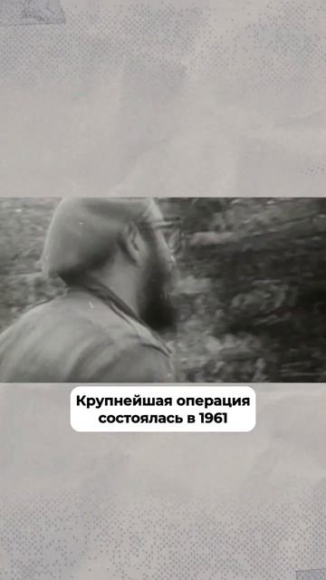 Знаменитая операция в заливе Свиней #история #сша #карибскийкризис #shorts смотреть онлайн
