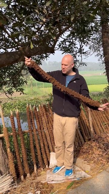 БАНГЛАДЕШ 🇧🇩 Для тех, кто пропустил - так сушат навоз😁 смотреть онлайн