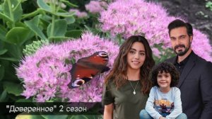 ДОВЕРЕННОЕ 225 серия. 2 сезон. Сехер не любит тебя, Яман!