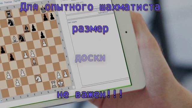 Прикол про стоклеточные шахматы смотреть онлайн
