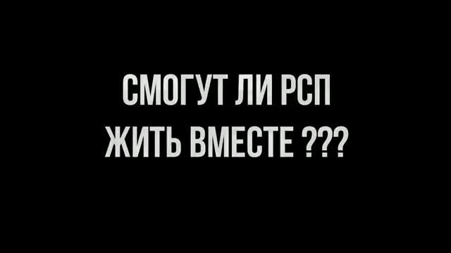 Город РСП. смотреть онлайн