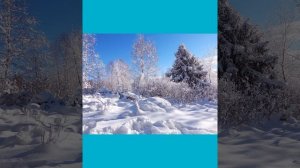 Диктант для 7 класса.Декабрь.