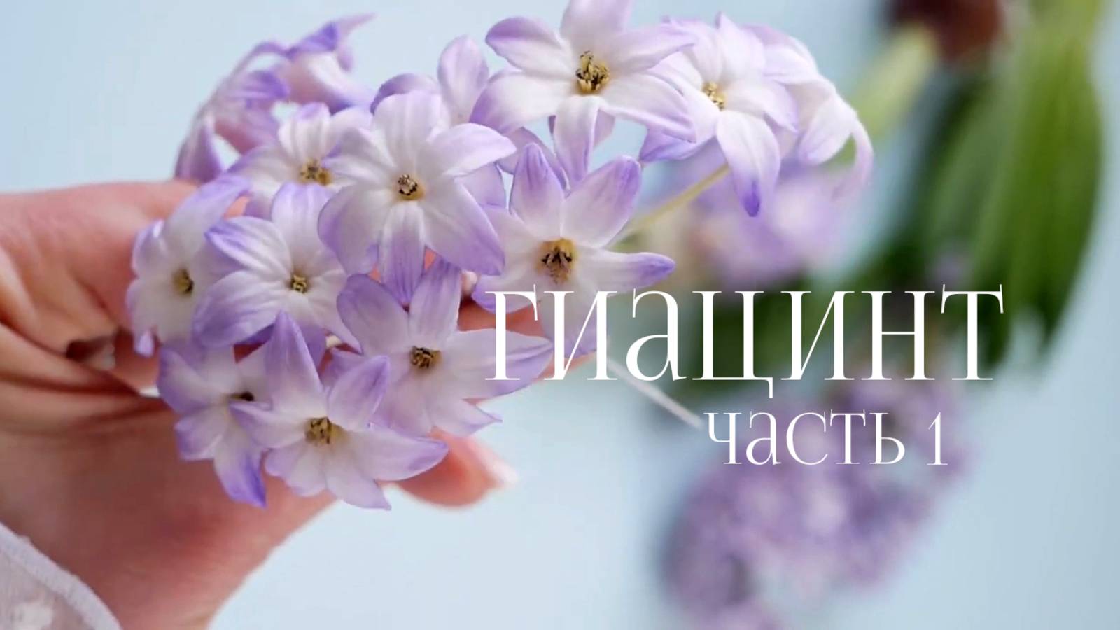 Гиацинт Часть 1